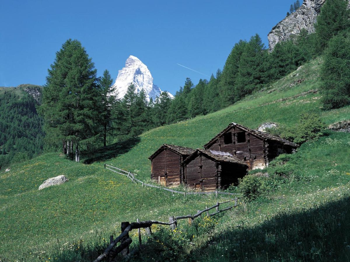 Apartment Lauberhaus Zermatt Exterior foto